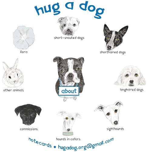 hug a dog